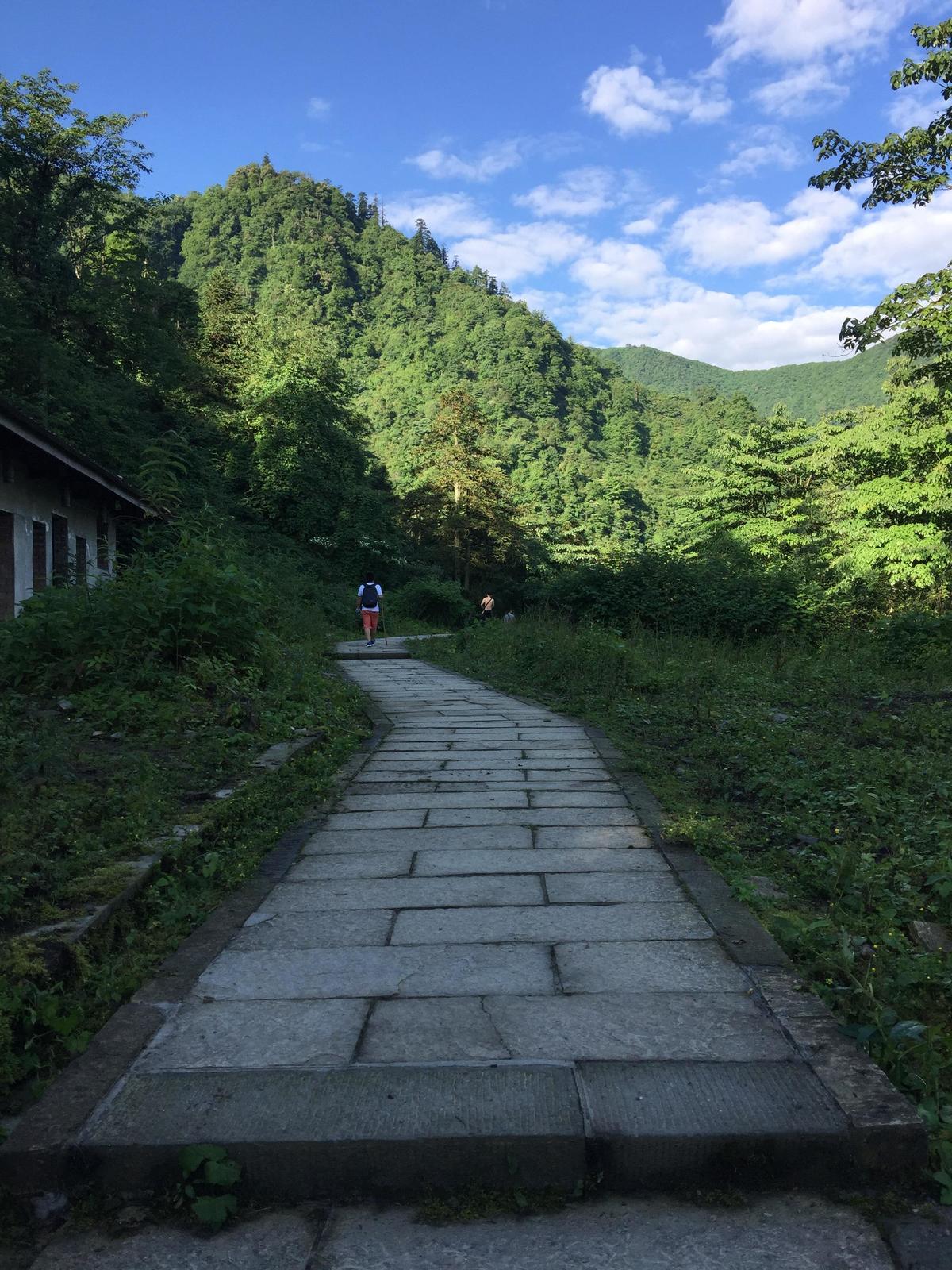 峨眉山登顶佛像,峨眉山登顶记完整版