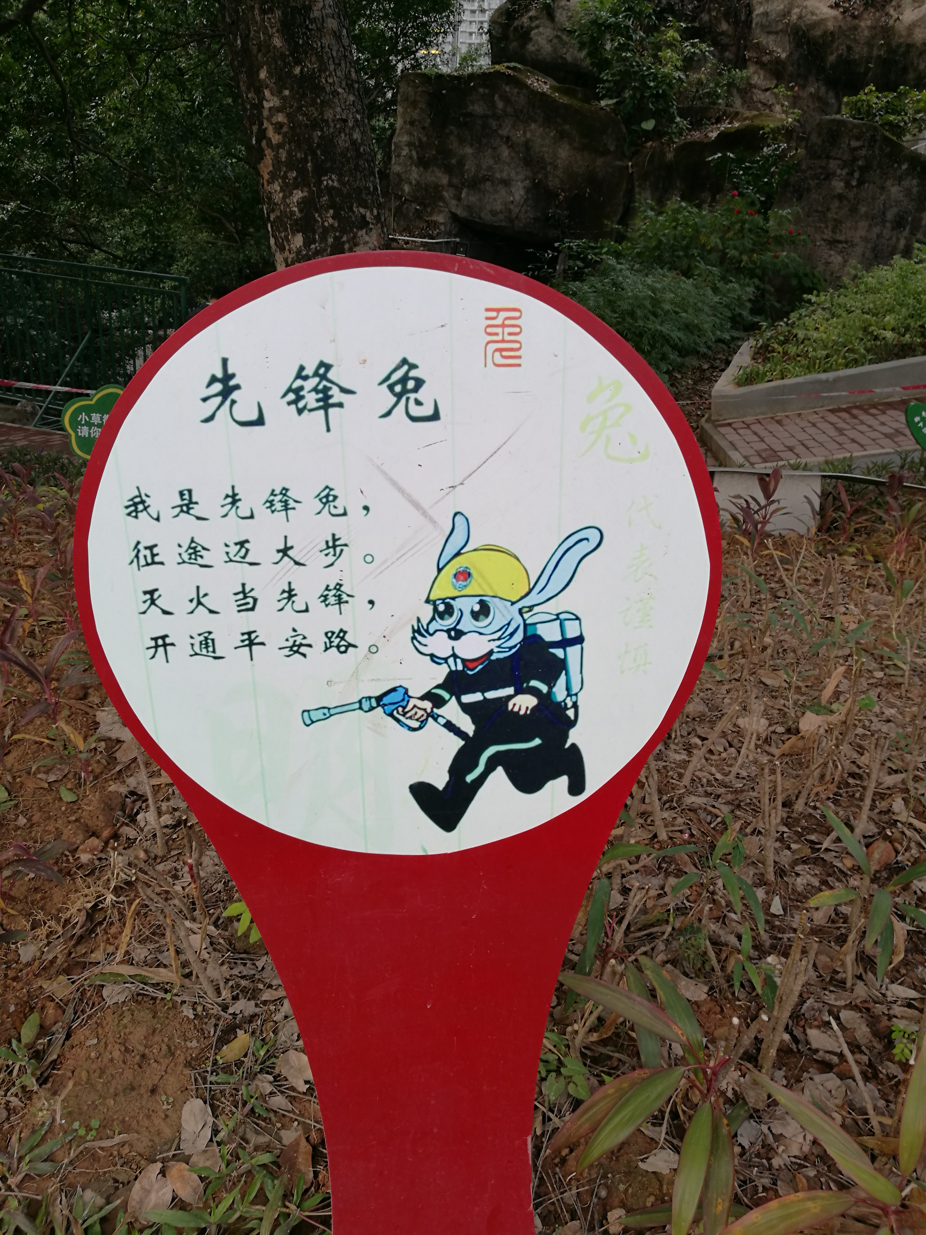 平安夜偶遇第一场雪,平安夜偶遇生日