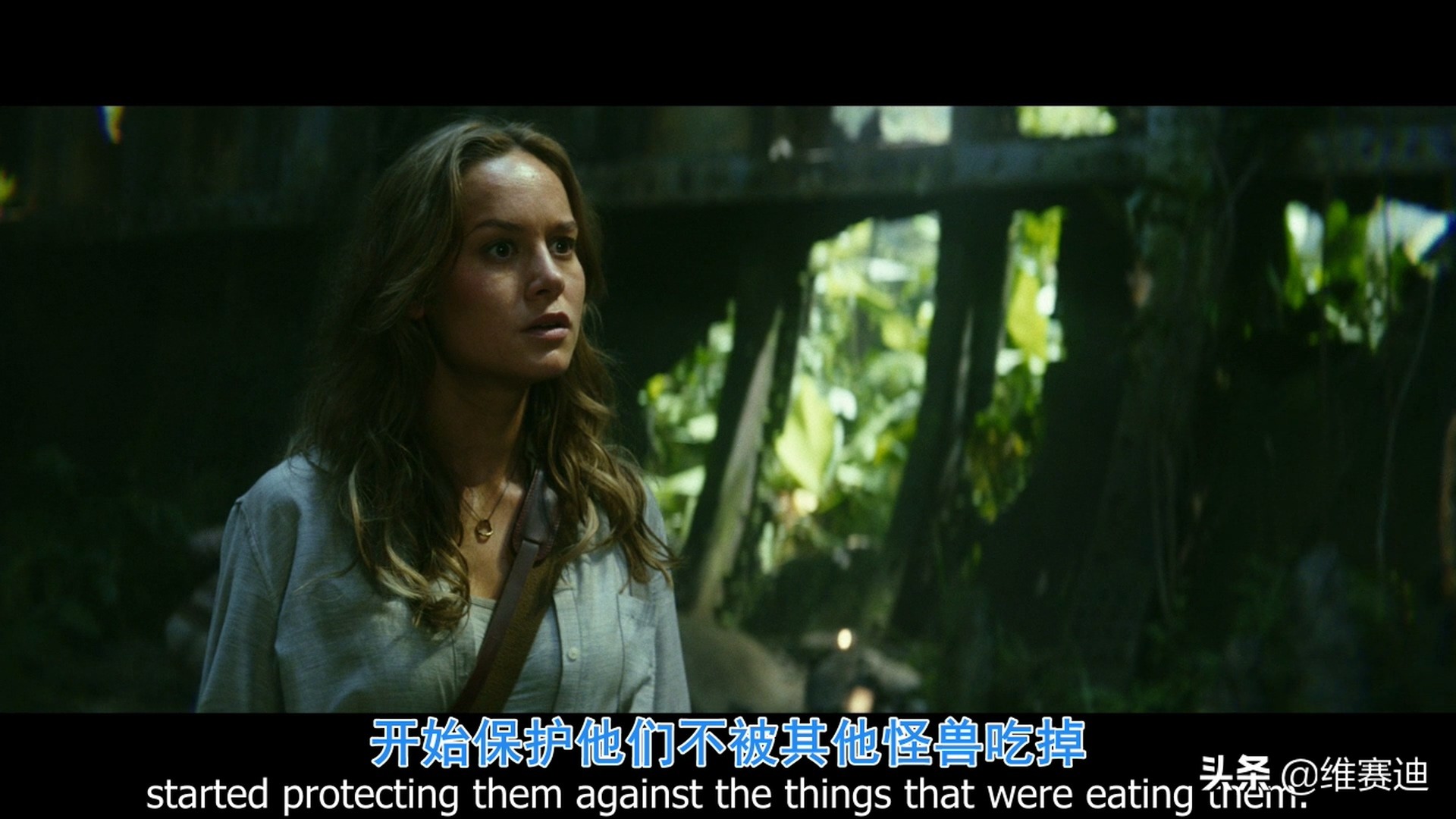 金刚怪兽宇宙,怪兽宇宙漫画里金刚有什么能力