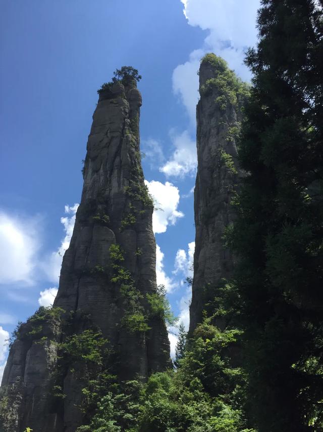 农村信用社的款还不上了怎么办,农村信用贷款怎么还没下来