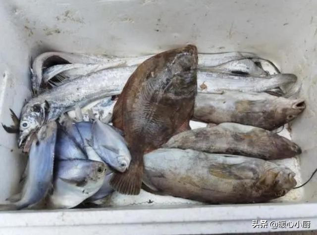 50岁大妈在街上买10元3斤野鱼,老人家路边卖鱼一斤35元