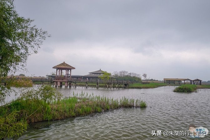 江南最大湿地风景区,不是西溪湿地,荣获中国最美湿地却少有人知