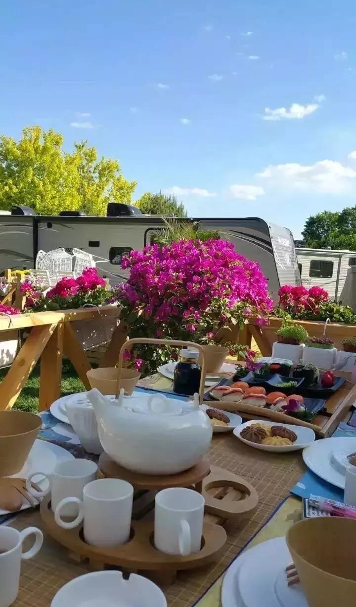 北京菊花花海,北京赏花好去处国际花港