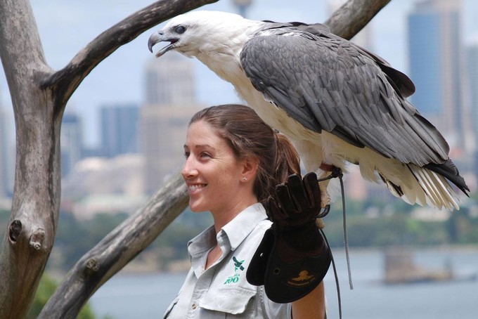 悉尼塔龙加动物园游玩攻略,悉尼塔龙嘉动物园游记