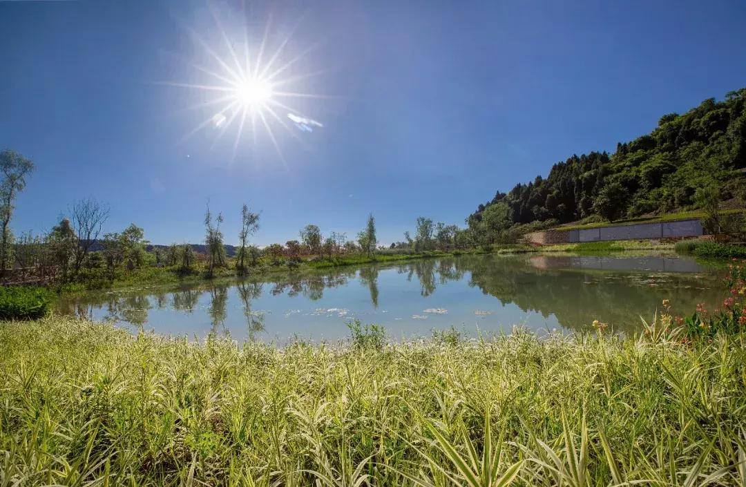 全球最大的城市森林公园,全球最绿色的城市