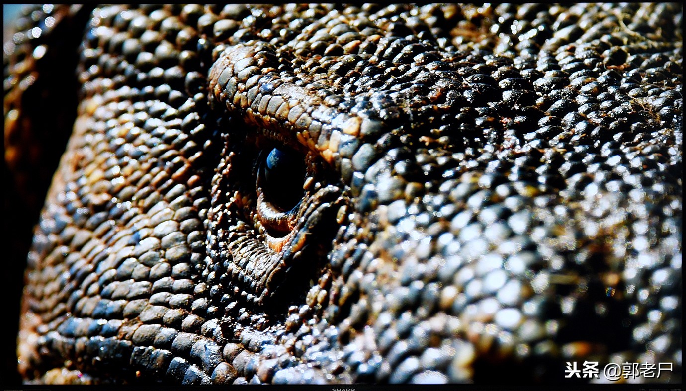 夏普60寸深度评测,夏普电视60寸678a评测