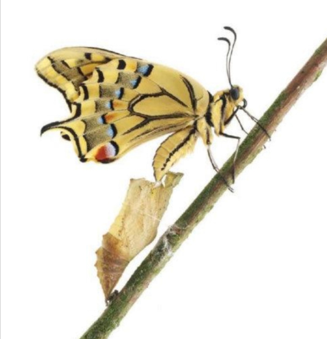 谨防有三,教你避开造成孩子注意力不集中的“坑”