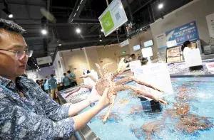 昆明饭店80年代照片,70年代昆明有名的馆子