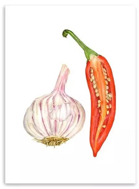 超写实绘画真实吗,超写实的植物绘画