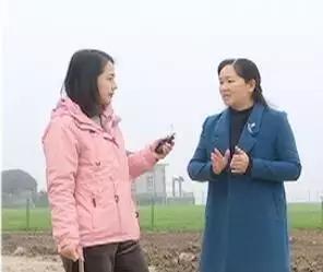 黄石薪资水平,黄石真实工资