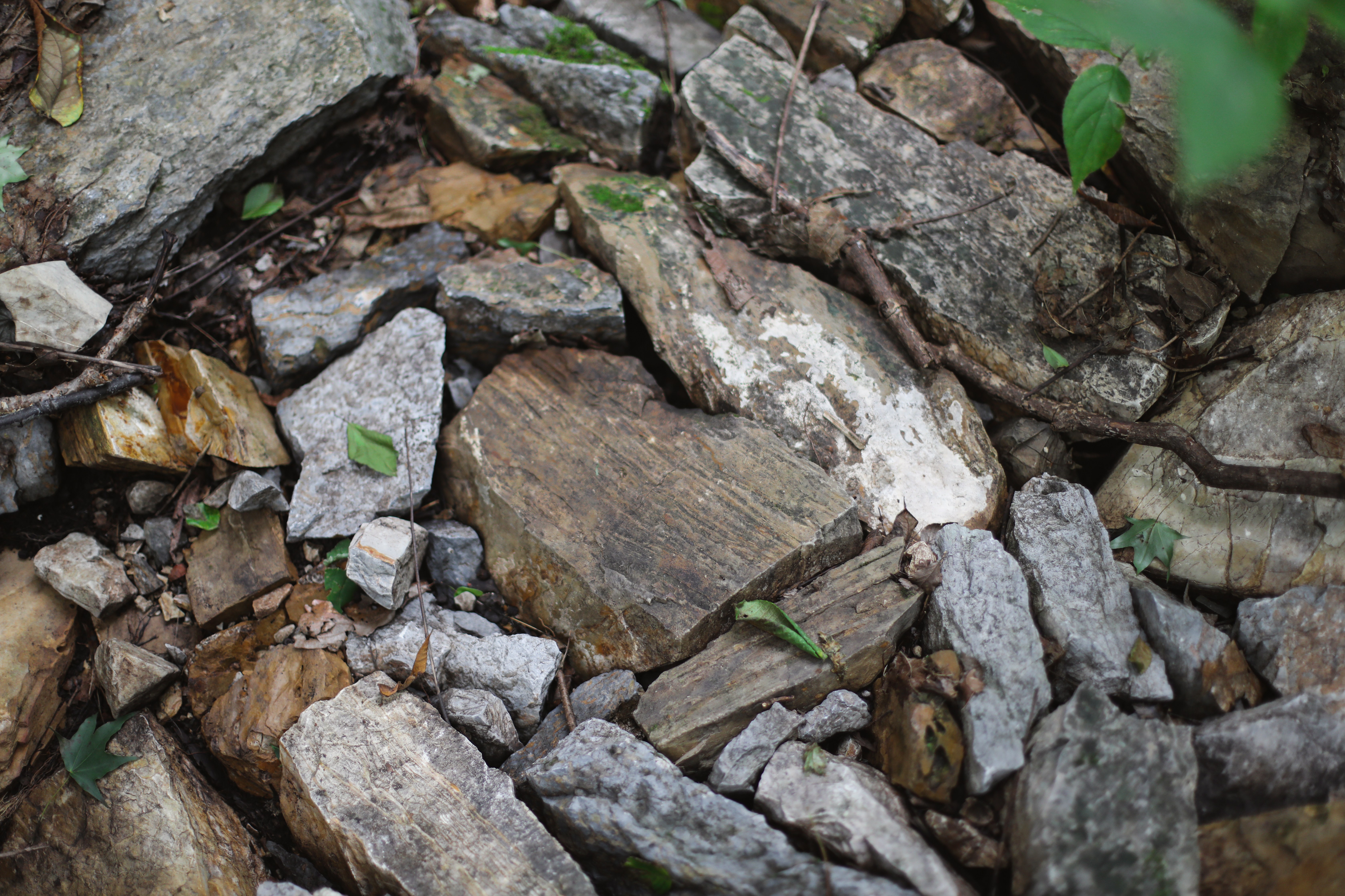 京郊十条登山步道推荐,房山蝴蝶谷登山步道