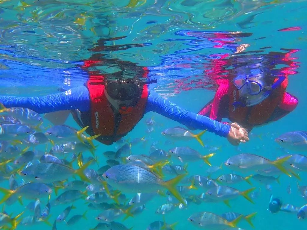 帕劳归来不看海谁说的,帕劳归来不看海