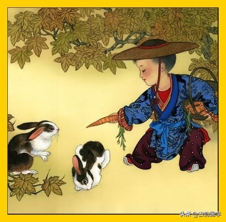 十二属相的性格和脾气对照表,十二生肖性格分析书单