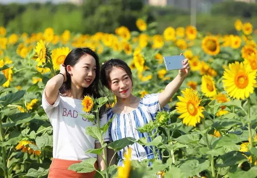 致敬青春改革开放40年,致敬改革开放40年民营企业