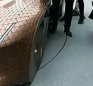 在山上遇到什么野果,在山上遇到哪些野菜