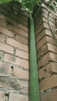 漂亮的人怎样都好看,漂亮的姑娘帅不帅