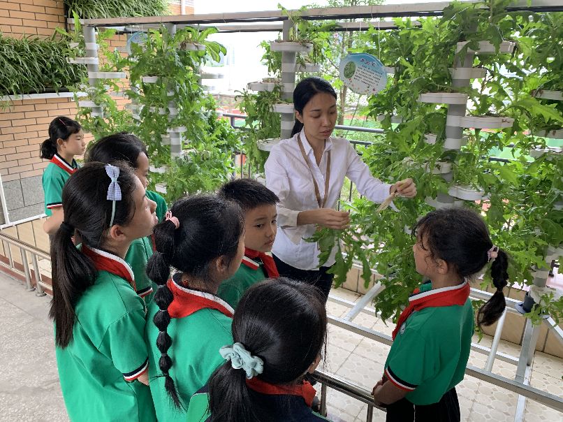 城东小学校歌乐器,城东小学文艺表演青春节拍