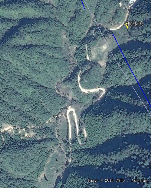 从业十年我所经历的火爆和低迷,茶行业真实揭露