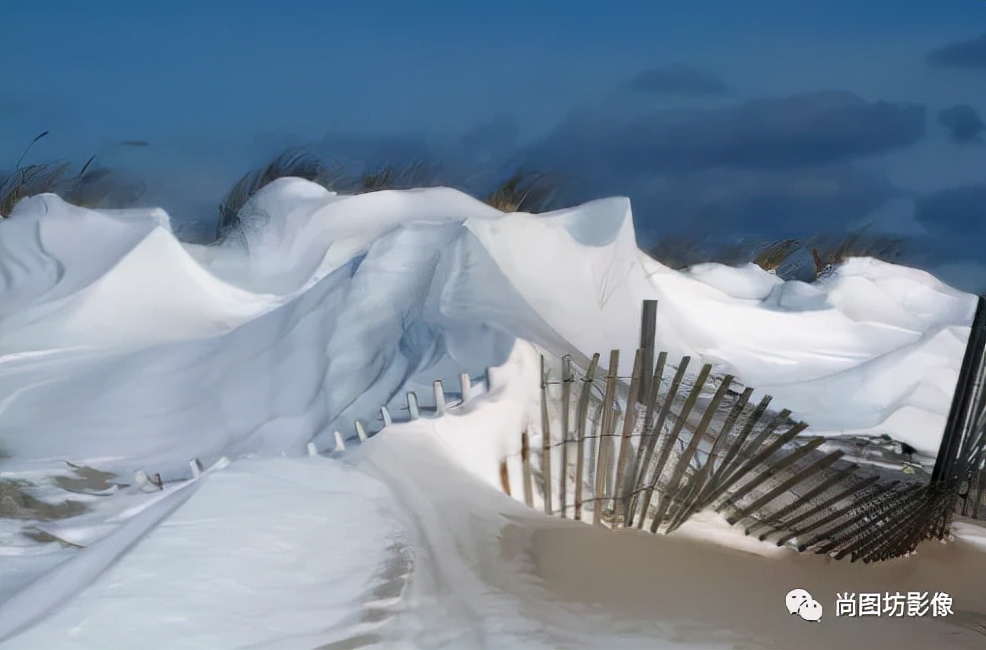 国际摄影展获奖作品,国际摄影获奖作品欣赏第88期