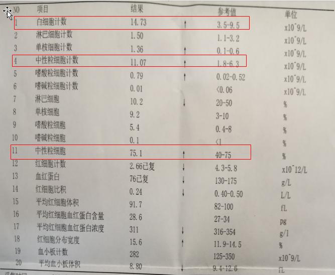 不会看血常规化验单一张图让你懂,陈医生可以看报告单么