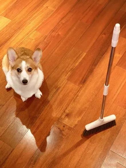 宜宾疫情难熬的日子,宜宾疫情隔离生活