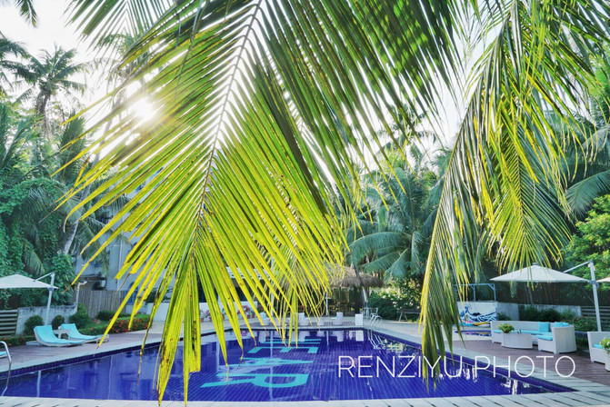 一群年轻人到三亚，摆pose，拍照