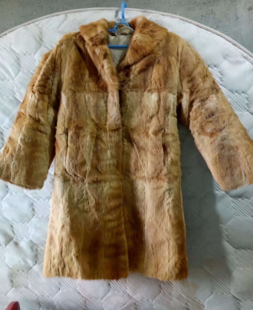 黄鼠狼被杀后果,3年内12万余只黄鼠狼惨遭毒手