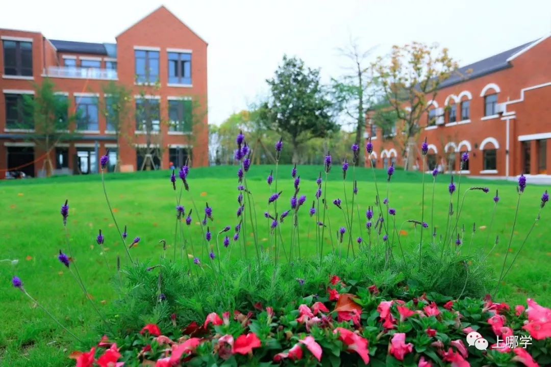 上海最好的十大民办初中,上海各区的顶级初中和一流初中