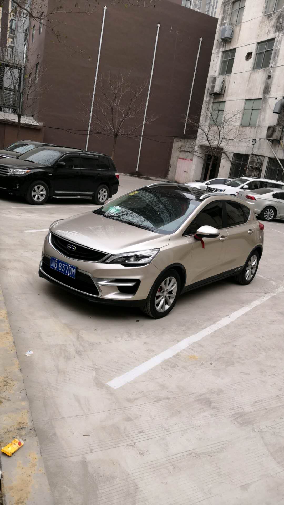 吉利最大的缺点是什么,吉利的评价