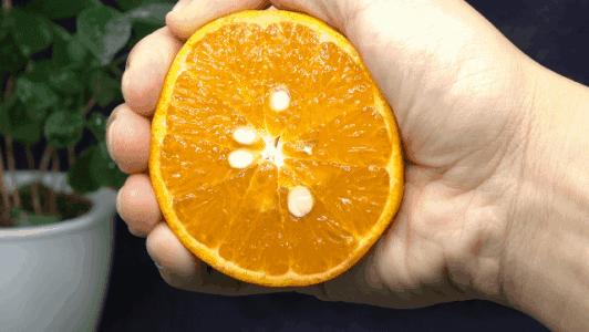 外表难看吃起来好吃的水果,茂谷柑为什么吃起来像烂了的味道