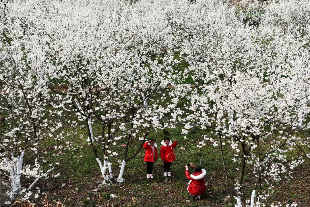 新时代脱贫攻坚取得的伟大成就,脱贫攻坚伟大成就