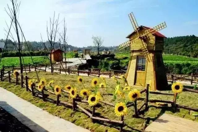 相差50年！“变态”的日本农业震撼中国农业经营者！引起轰动……