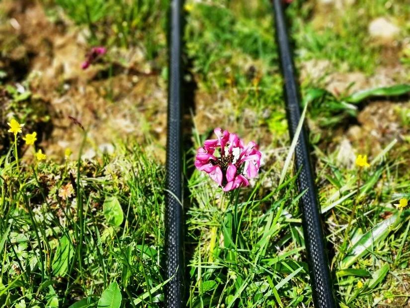 贡嘎山的徒步,贡嘎雪山大环线徒步游记