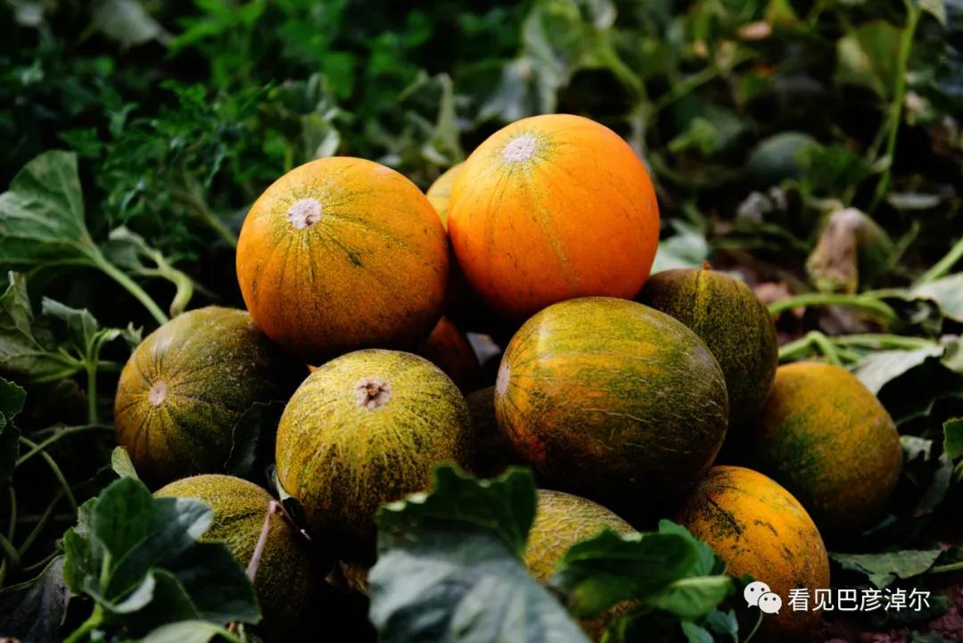 来认识一个不一样的我翻译,来认识不一样的滑雪