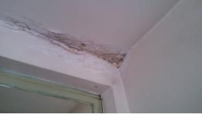 7.2级大地震，0死亡：新西兰的房子质量为什么这么好？