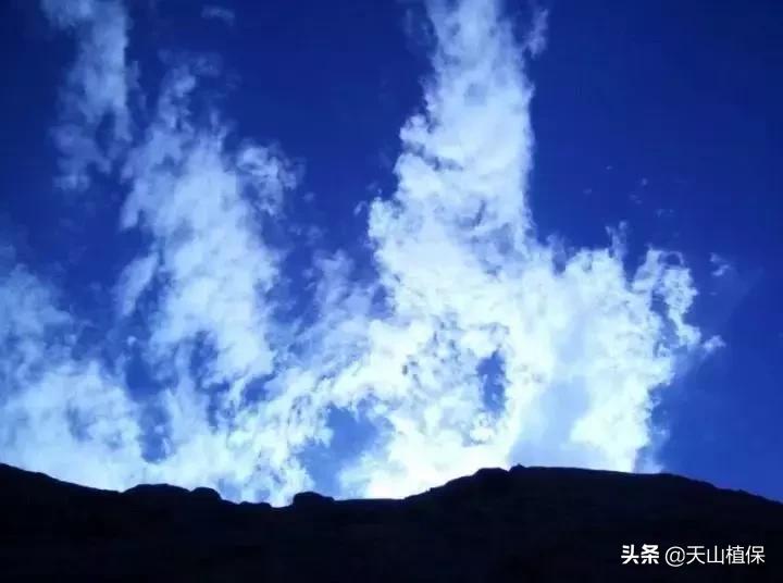 新疆的南疆图木舒克属于阿克苏吗,新疆图木舒克城市风景