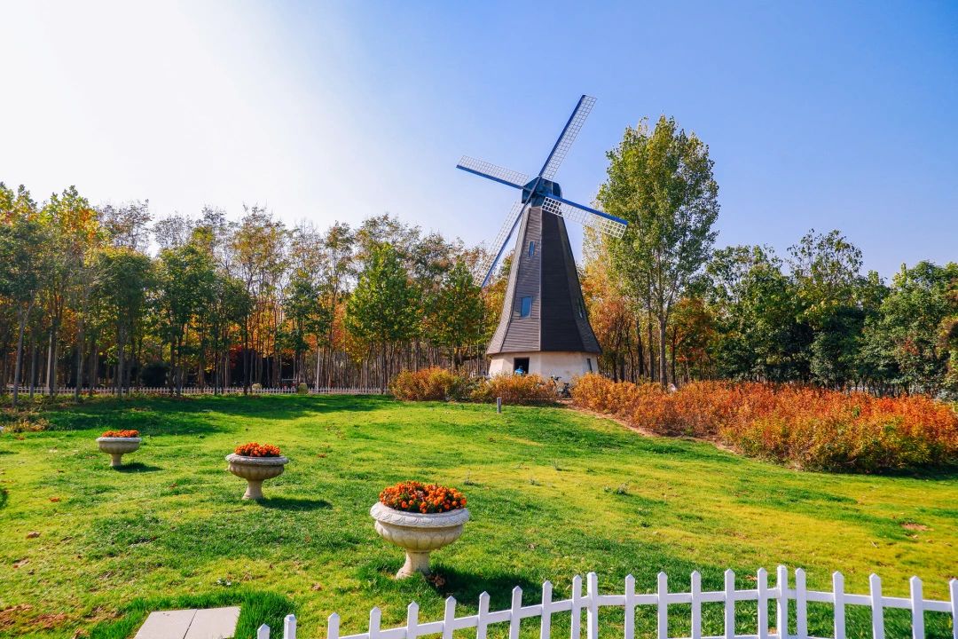 郑州漂亮的秋色风景,郑州的这些湖畔藏着最美的秋色