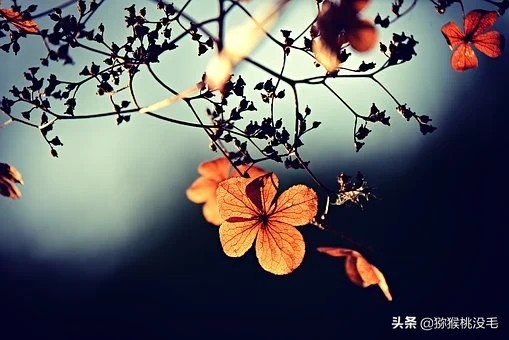 和老婆吵架要离婚了该怎么办,和媳妇吵架动手了要离婚怎么挽回