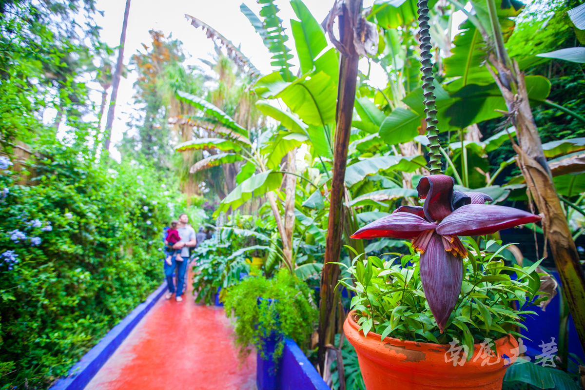 伊夫圣罗兰何时逝世,伊夫圣罗兰葬礼