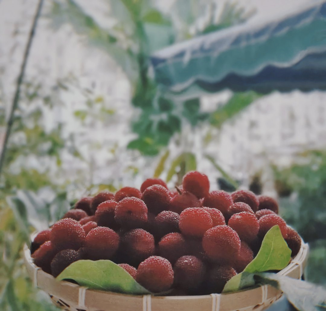 喜欢吃杨梅的朋友看过来!湖州摘杨梅攻略请查收