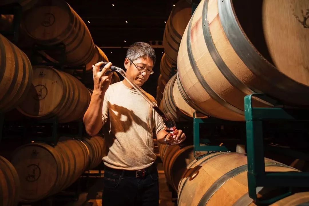 国内最好的三款葡萄酒,中国最好的葡萄酒是哪一款