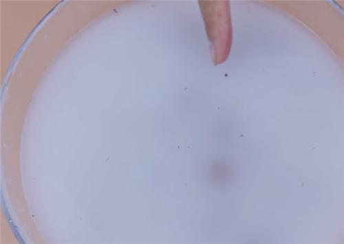 清洗葡萄的正确方法青葡萄,清洗葡萄的正确做法