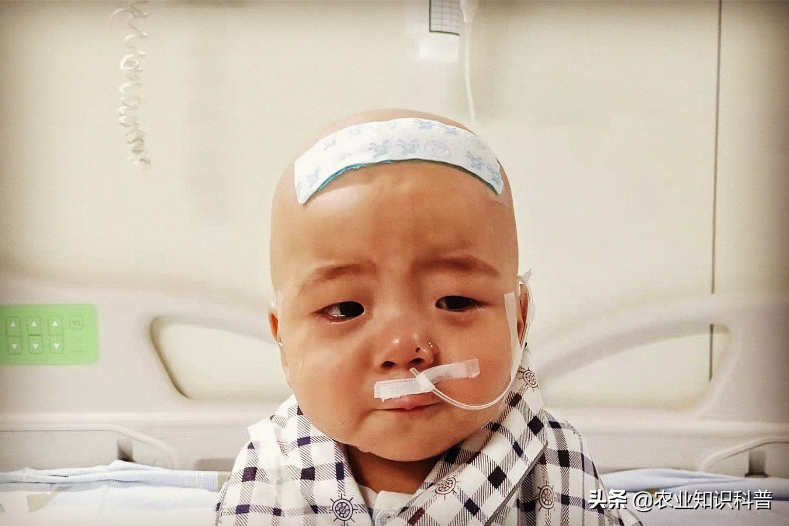 10个多月宝宝得病后续,10岁男孩患重病