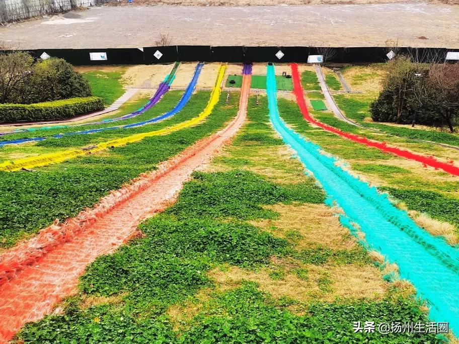 2元花盆批发清仓,2元花卉批发市场