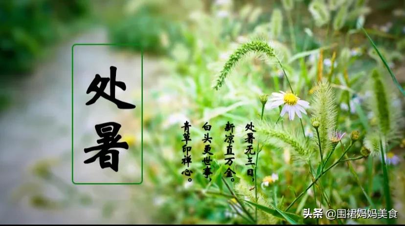 秋季晚餐推荐家常菜,秋天多吃这几道家常菜