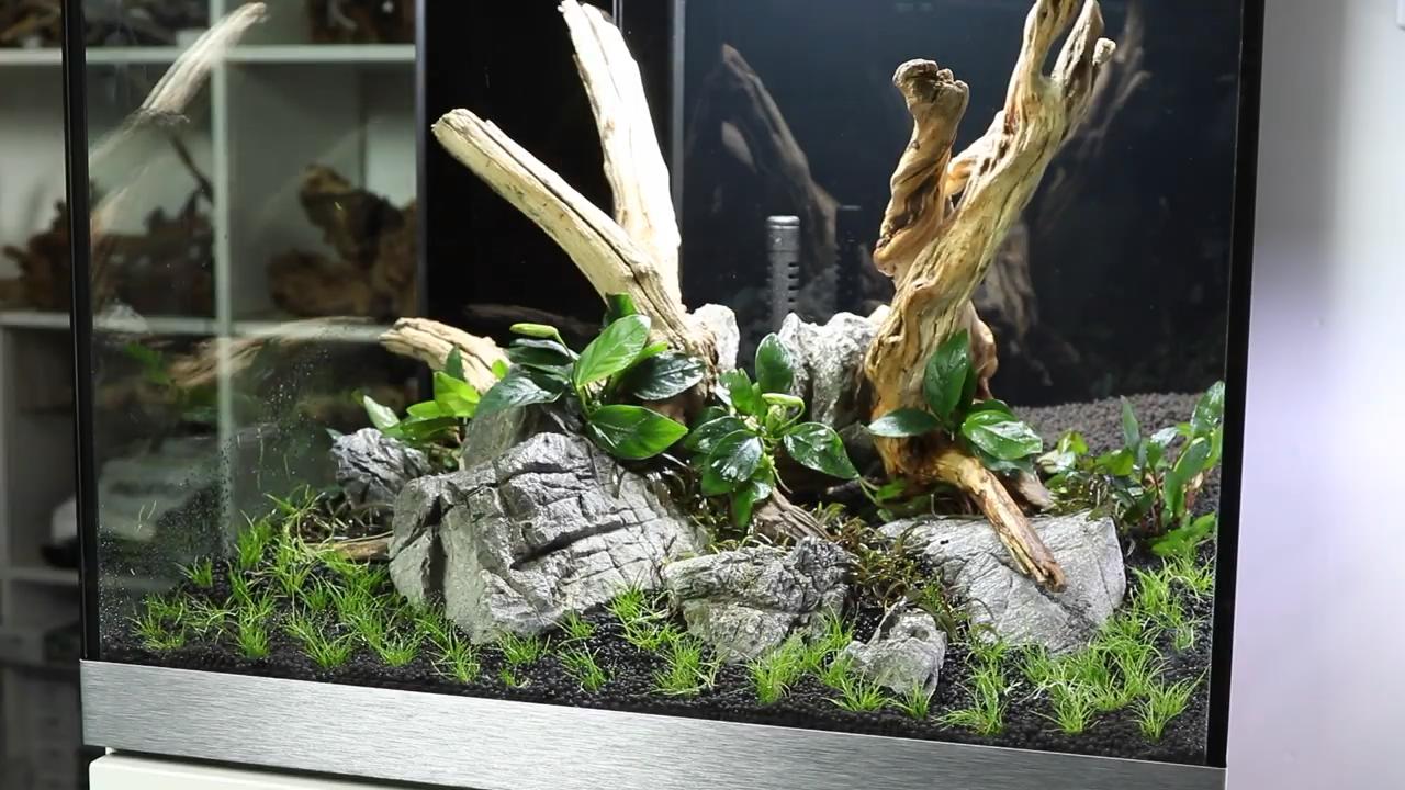 鱼缸造景水草需要二氧化碳吗,胶粘完水草可以直接放在鱼缸里吗