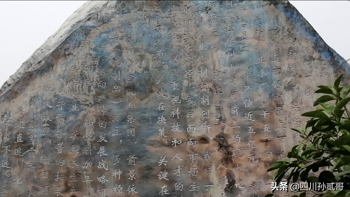 雪宝奶牛场,参观雪兰牛奶工厂心得体会