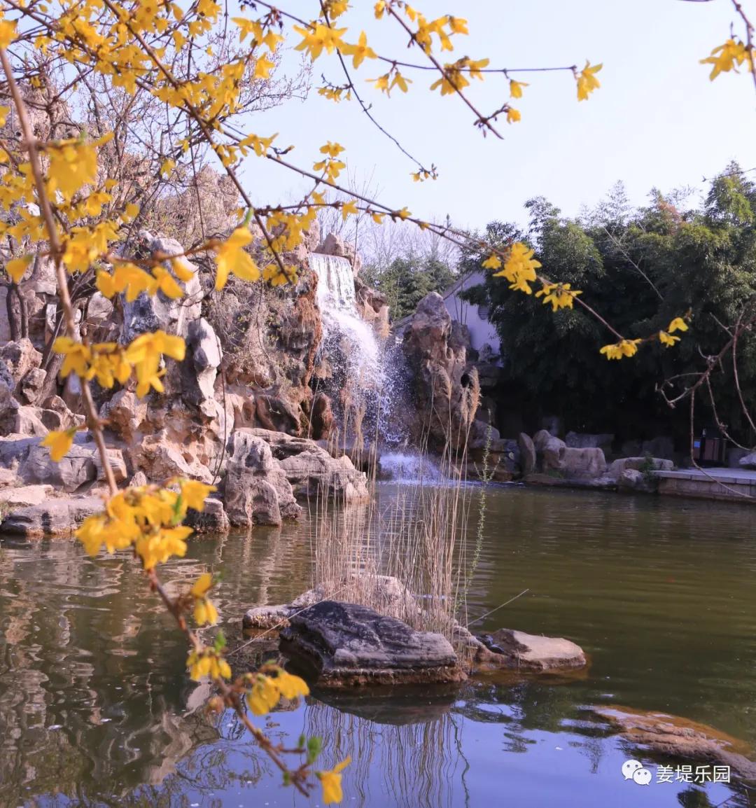 春天踏春去哪里好玩,又是一年春来到歌曲原唱视频