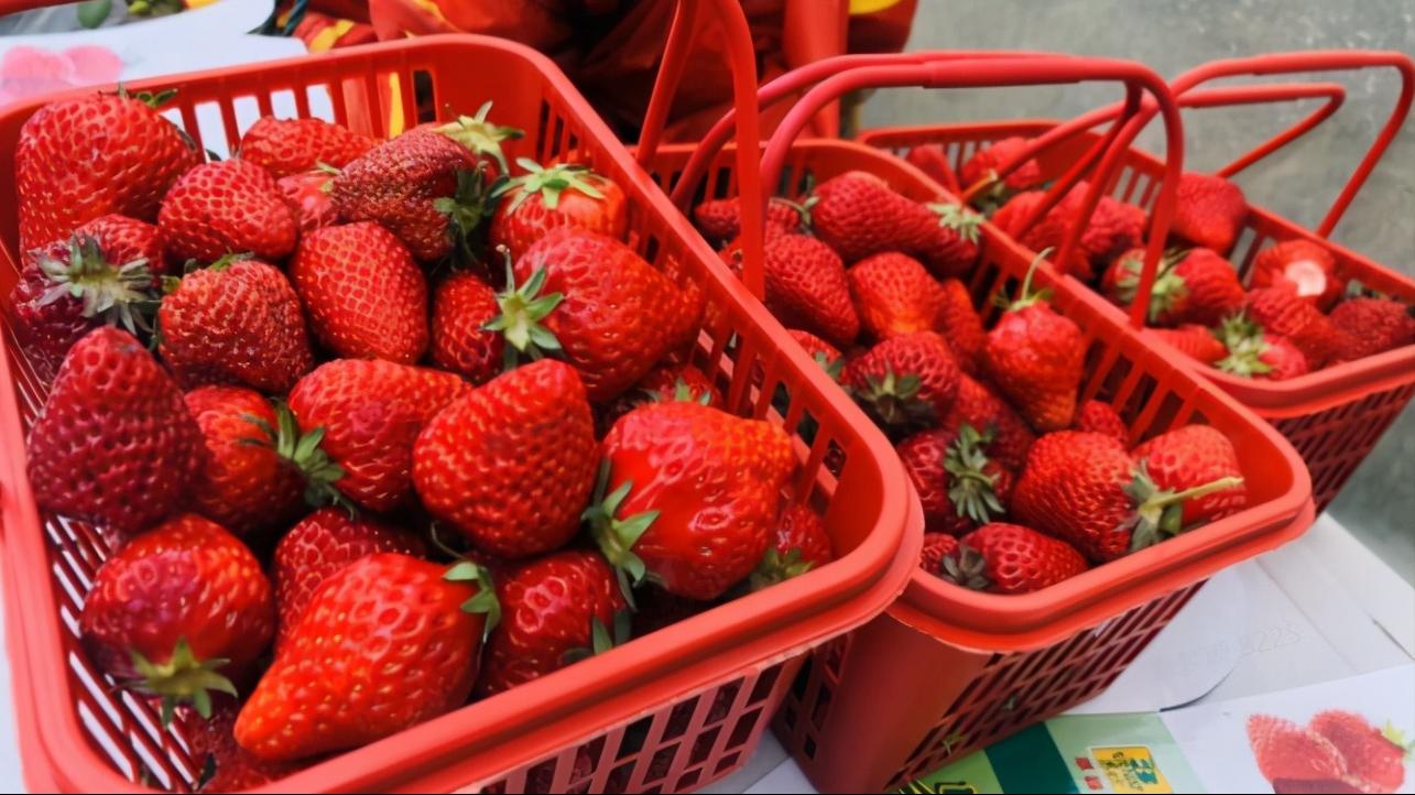 哪个草莓园的草莓便宜又好吃又大,上海新鲜草莓推荐