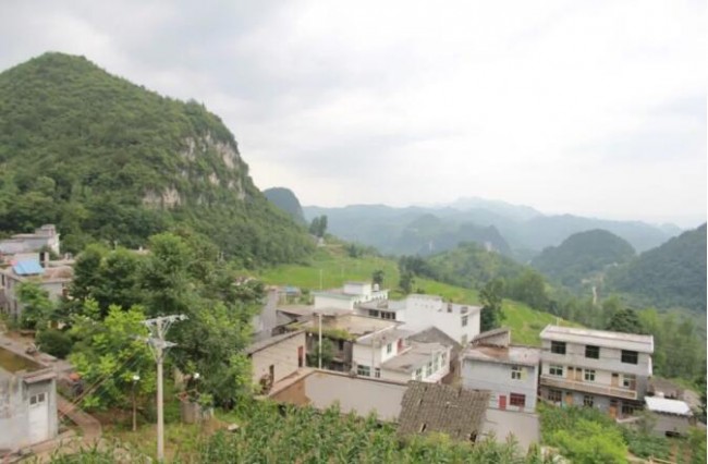 塞上桃园里的爱与希望